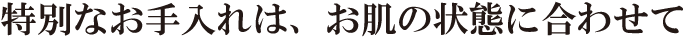 特別なお手入れは、お肌の状態に合わせて